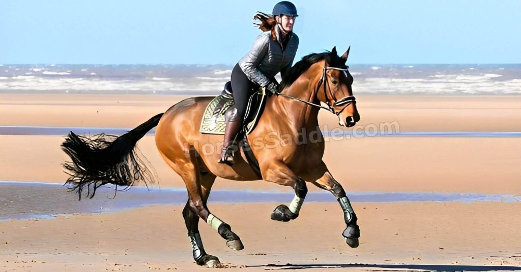 Horse riding: For adults and children