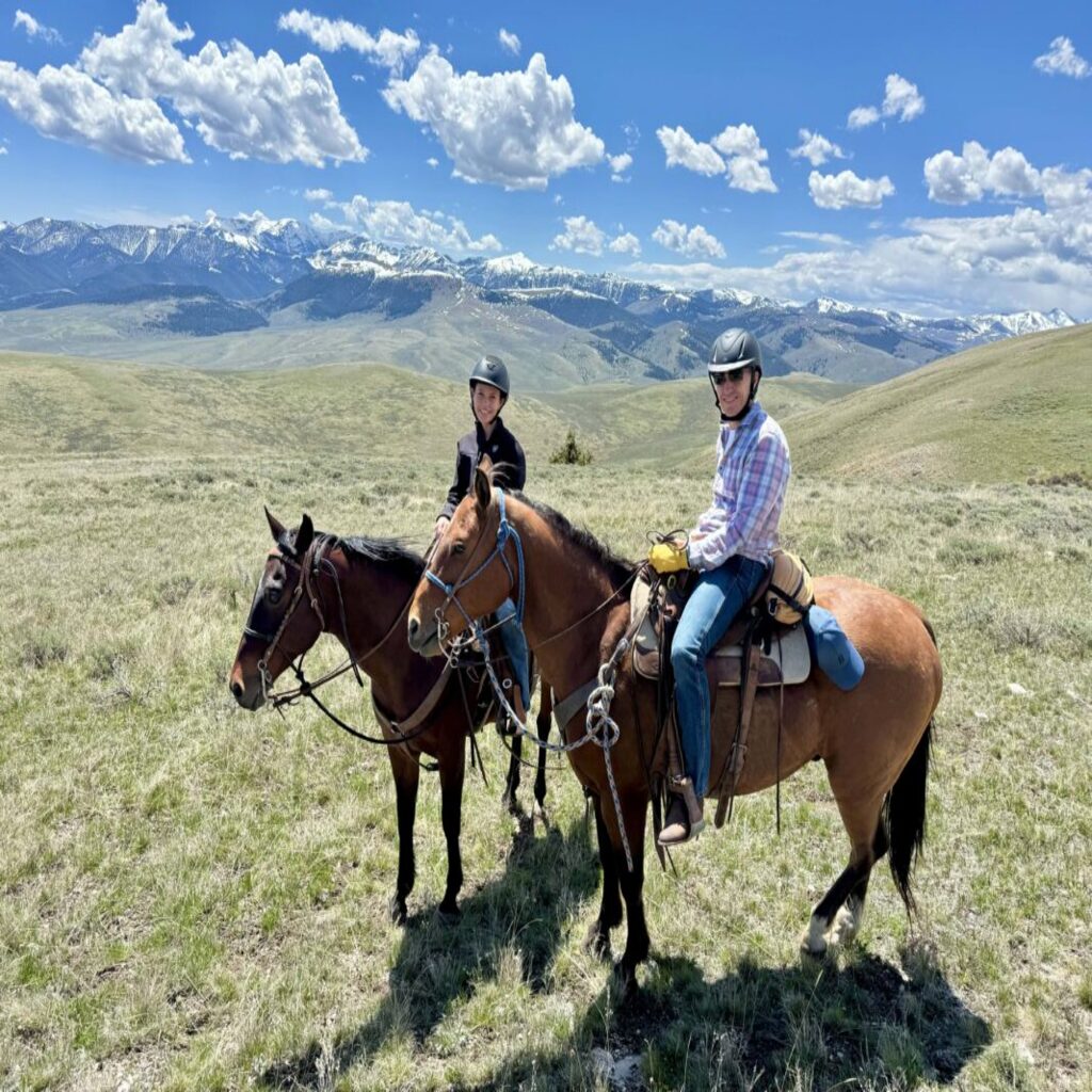 Ultimate Rider: Adventure Feel the Excitement and Master Horse Riding
