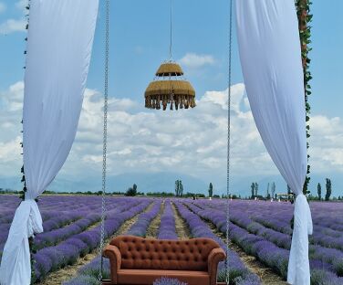 Lavanda Farm