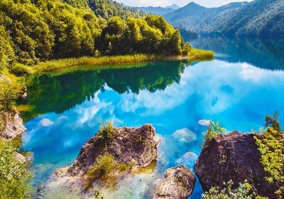 Breath Nature